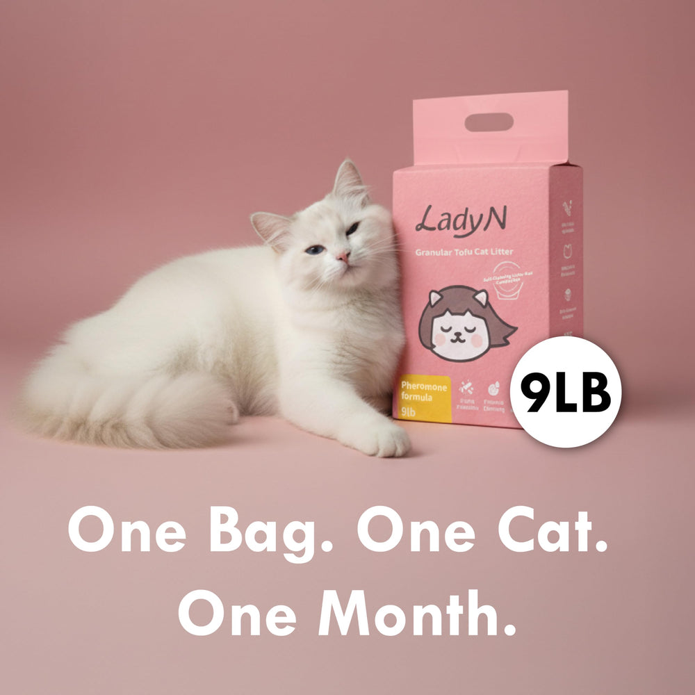 Lady N Cat Attract Tofu Litter helps train kittens and picky cats to use the box.