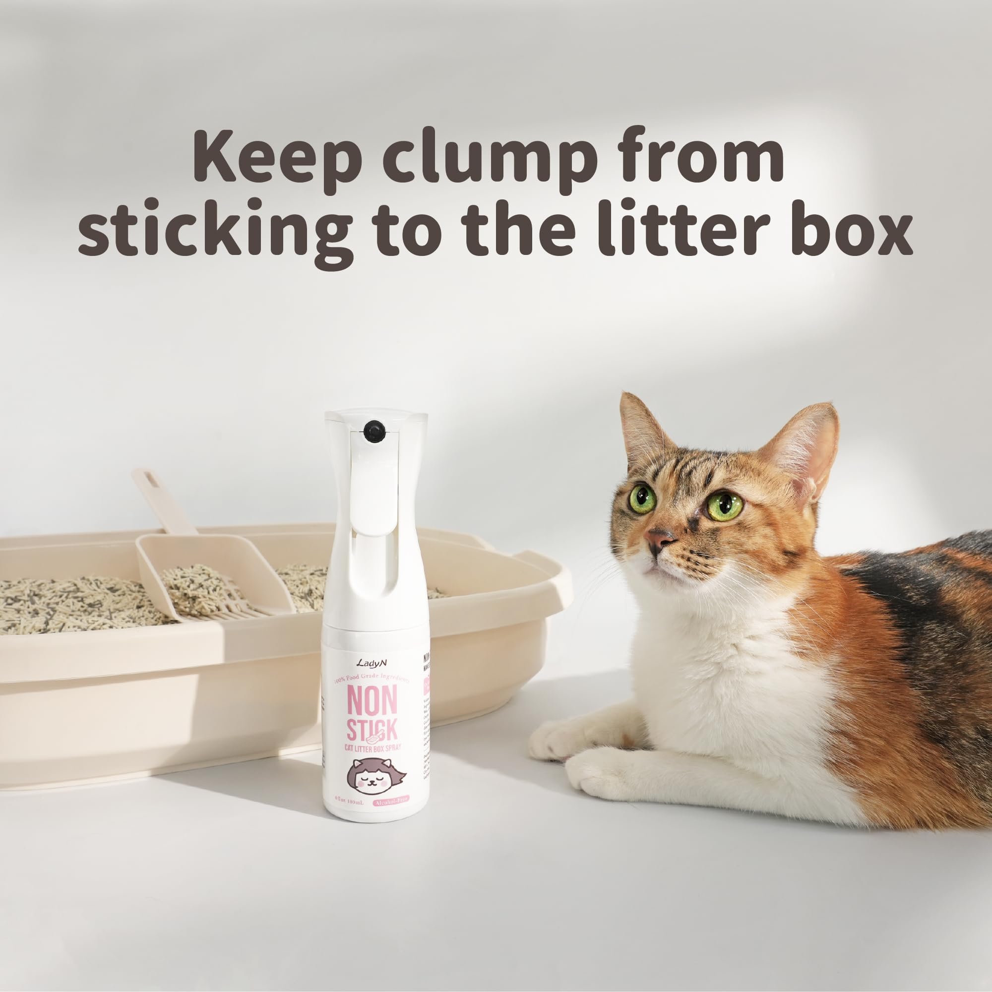 Lady N non-stick coating surface illustrating how litter glides off box surfaces