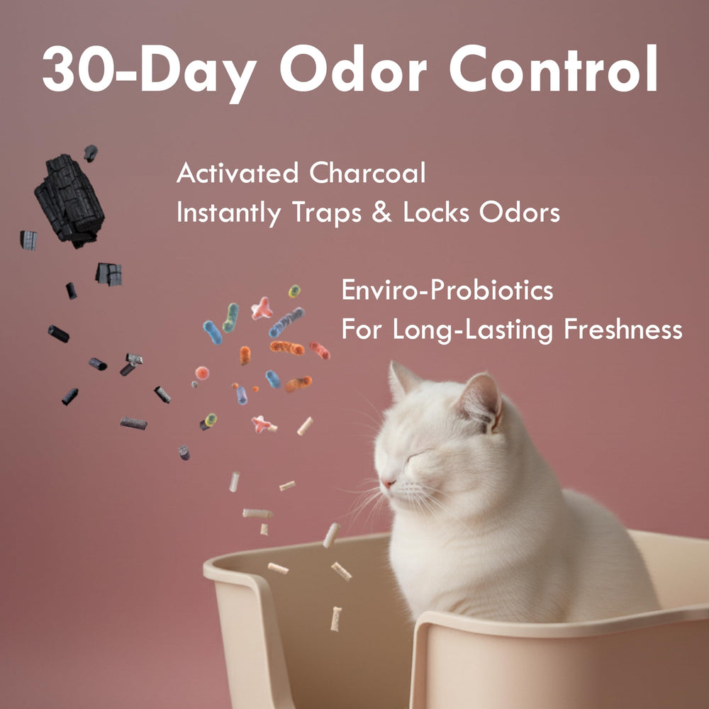 Lady N low-dust formula with reduced tracking in a typical home.