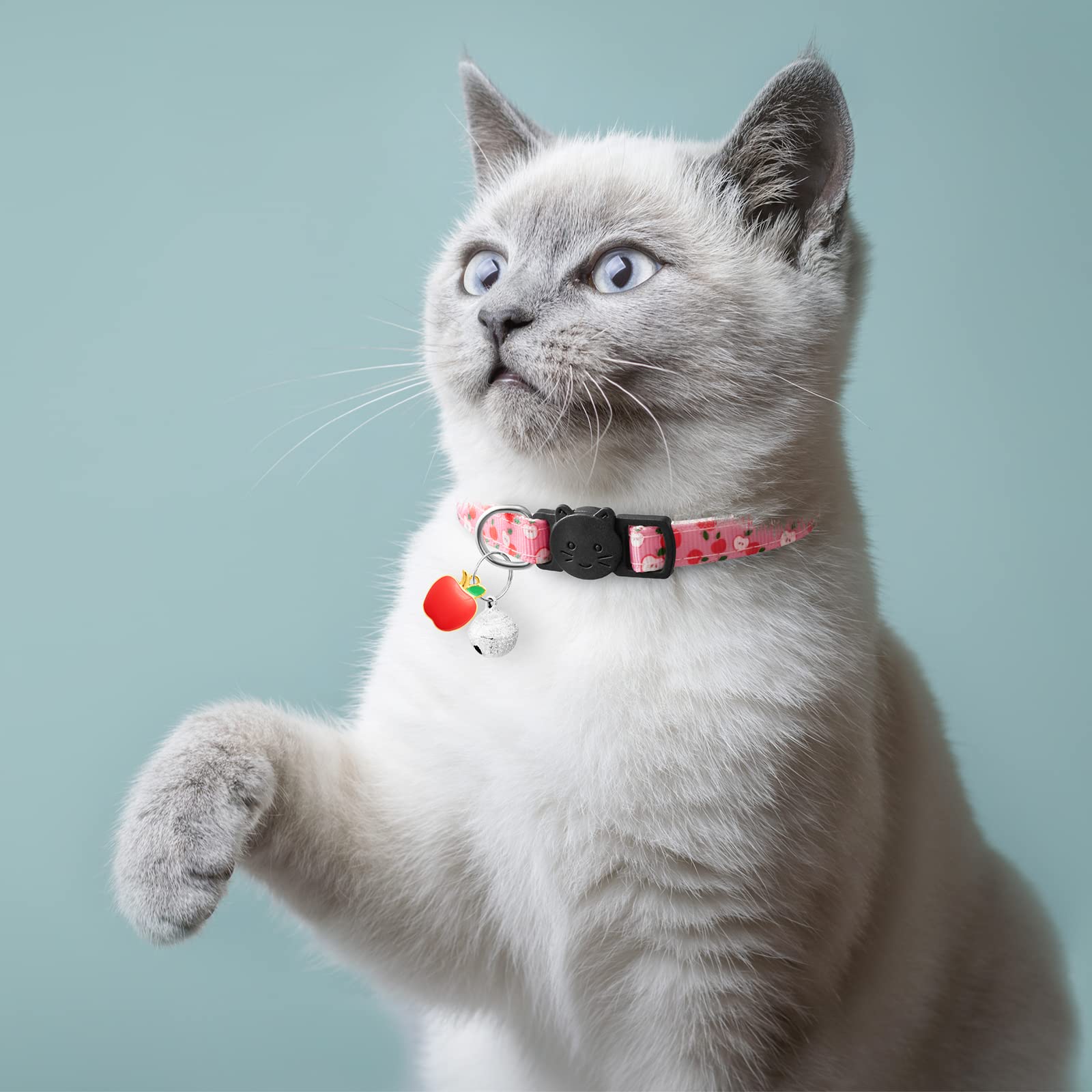 lafayi cat collar bells fruit pendants; audible charm helps locate cat