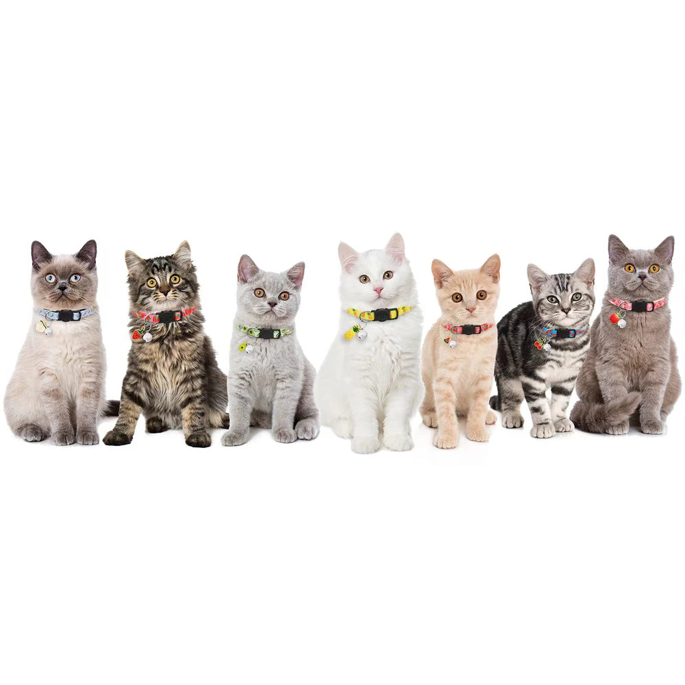 lafayi silver bell close-up; helps locate pets during play