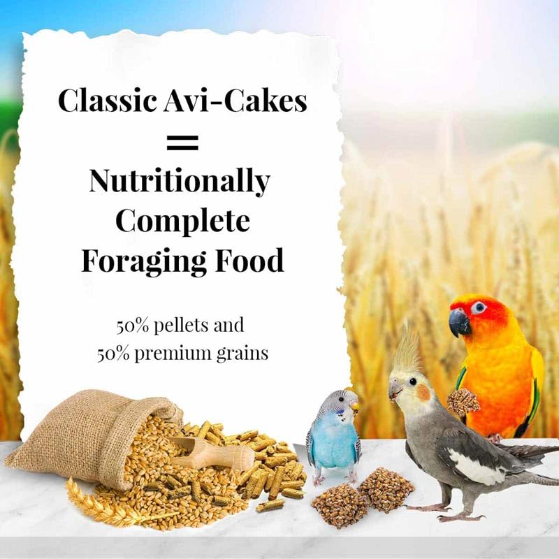 LAFEBER'S Avi-Cakes close-up reveals non-GMO, human-grade ingredients.