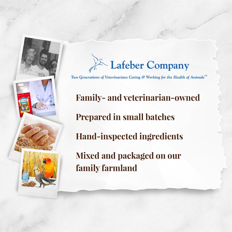 LAFEBER'S Avi-Cakes appeal to cockatiels, conures, and budgies for varied diets.