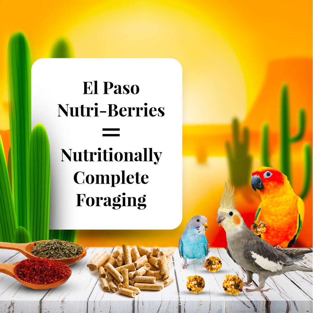 LAFEBER'S Nutri-Berries round-foraging shape highlights enrichment for small birds.