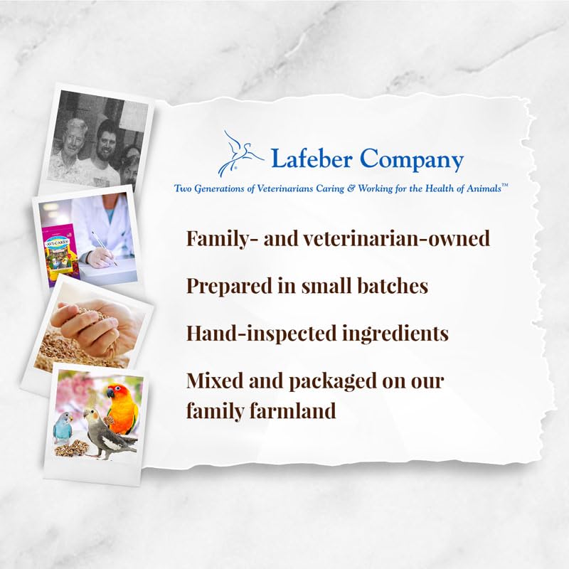 LAFEBER'S Fruit Delight birds enjoy tasty snacks during supervised feeding sessions.