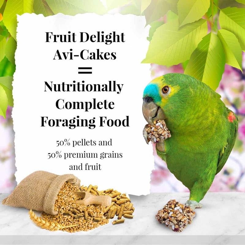 LAFEBER'S Fruit Delight Avi-Cakes square shape encouraging beak exercise and activity