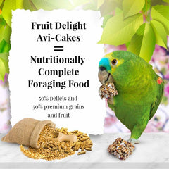 LAFEBER'S Fruit Delight Avi-Cakes square shape encouraging beak exercise and activity