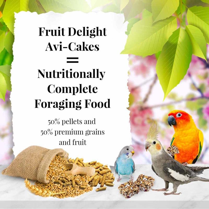 LAFEBER'S Fruit Delight square Avi-Cakes foraging shape encourages beak exercise.