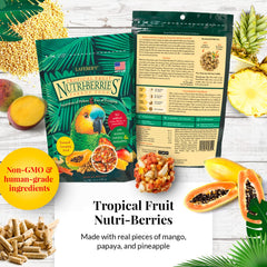 Lafebers Gourmet Nutri-Berries El Paso bag featuring peppers and spices for varied flavor and foraging.