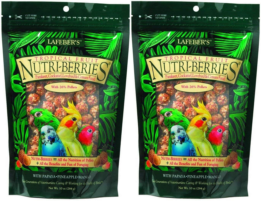 Lafeber's Gourmet Tropical Nutri-Berries for parakeet, cockatiel, conure—balanced daily nutrition.