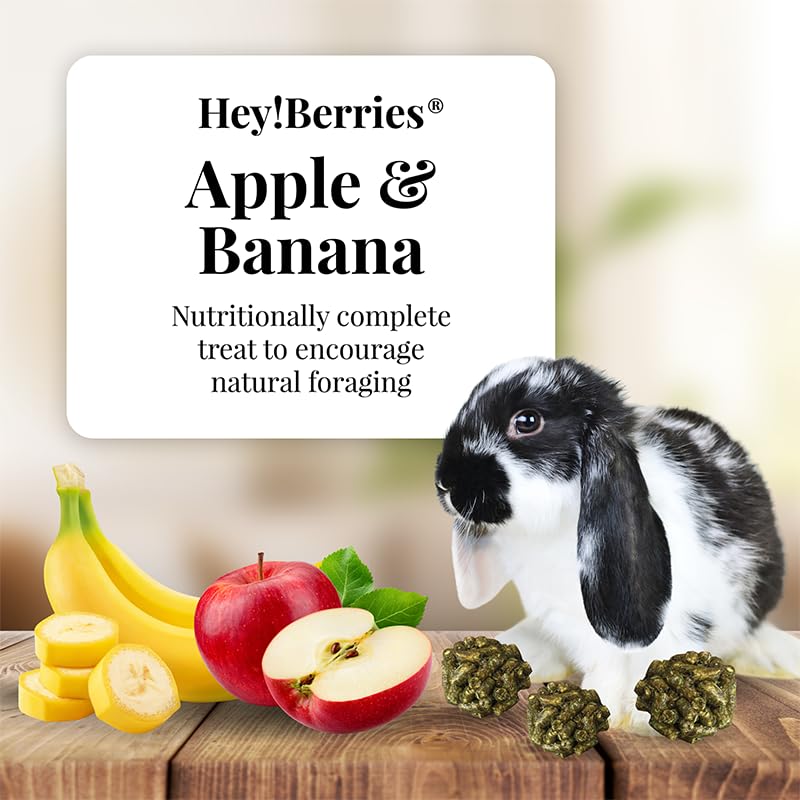 LAFEBER'S Hey!Berries eating scene hints at fiber-rich, nutritionally complete snack.