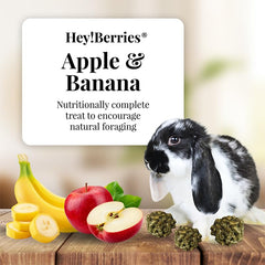 LAFEBER'S Hey!Berries eating scene hints at fiber-rich, nutritionally complete snack.