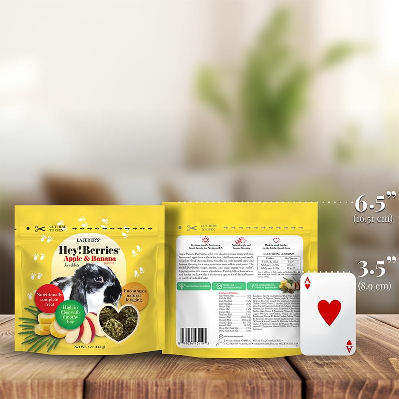 LAFEBER'S Hey!Berries made-in-USA badge suggests veterinarian-formulated care.