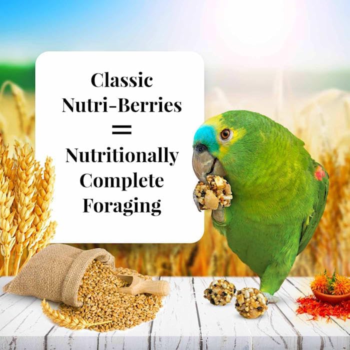 LAFEBER'S Nutri-Berries antioxidants and omega-3-6 balance support feathers and skin.
