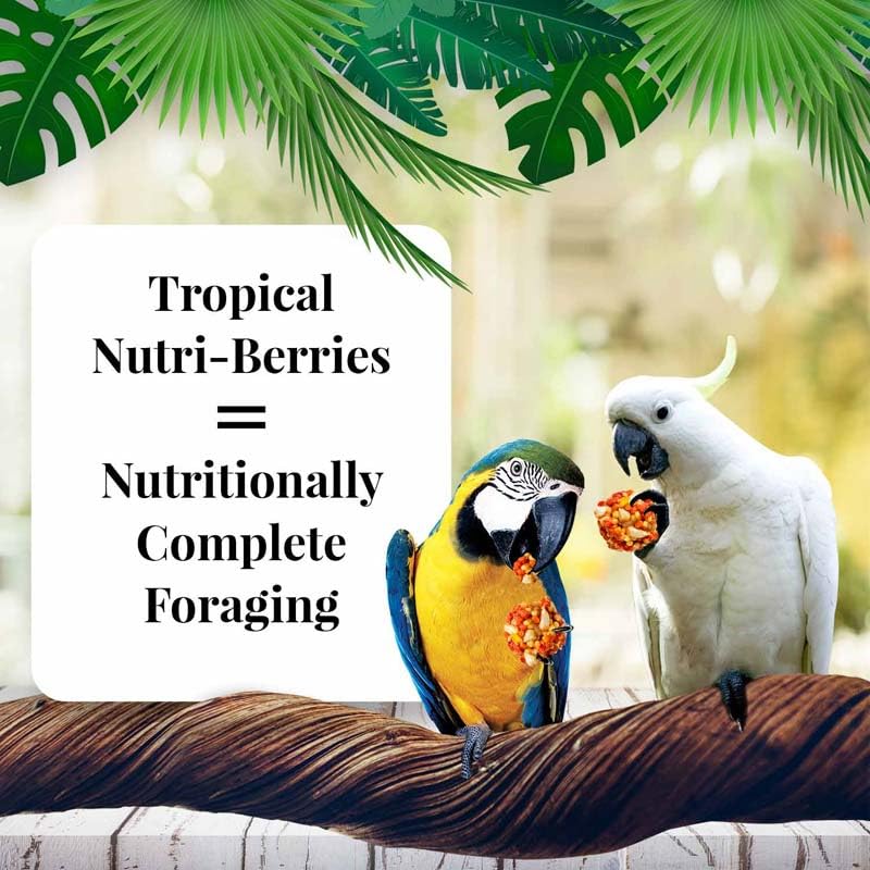 LAFEBER'S Nutri-Berries foraging shape close-up promotes beak exercise and mental engagement.
