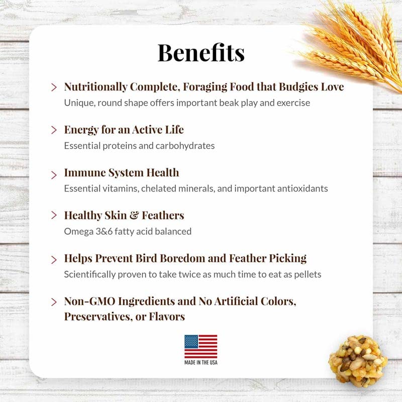 LAFEBER'S Nutri-Berries ingredient close-up reveals non-GMO, human-grade components