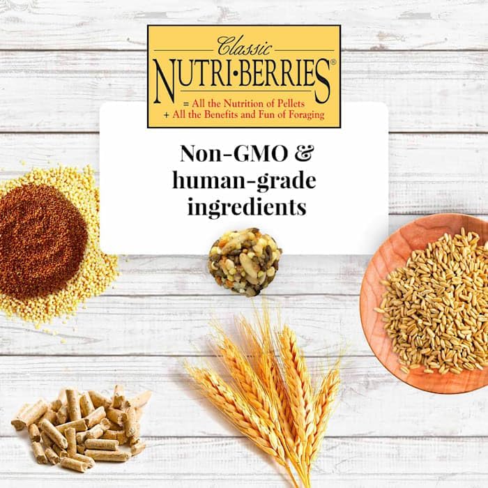 Lafebers Nutri-Berries ingredients close-up signal high-quality non-GMO ingredients.
