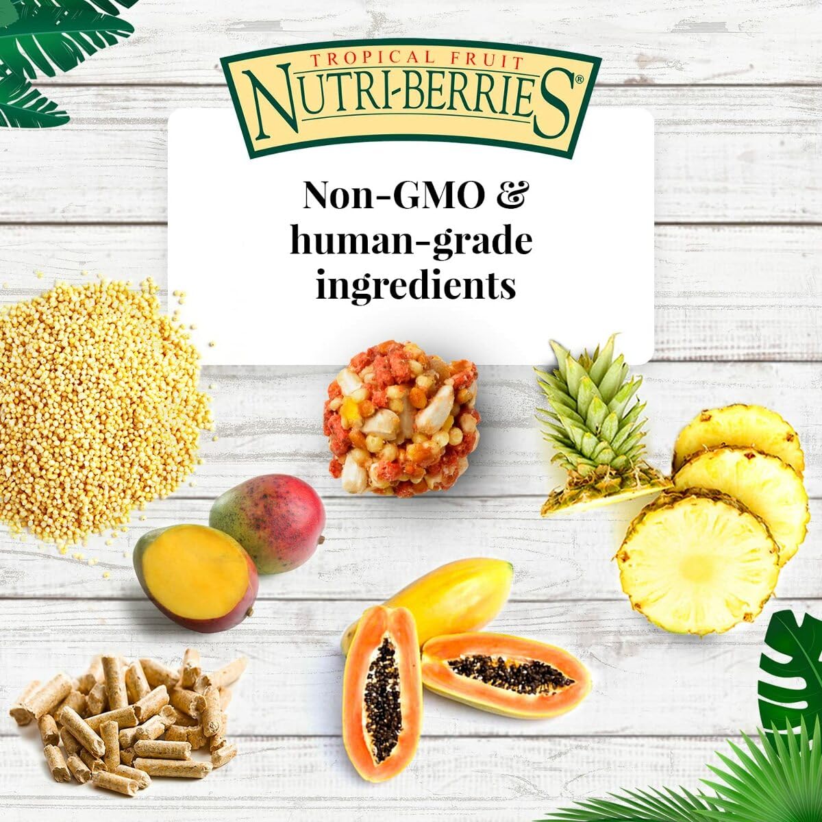 LAFEBER'S Nutri-Berries non-GMO ingredients emphasize natural, wholesome parrot nutrition