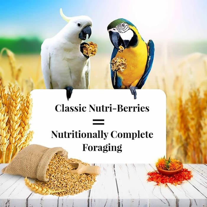 Lafeber's Nutri-Berries omega-3-6 balanced formula supports skin and feathers.