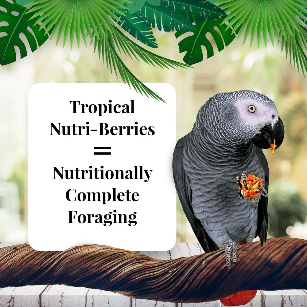 LAFEBER'S Nutri-Berries parrot beak exercise round shape encourages mental stimulation