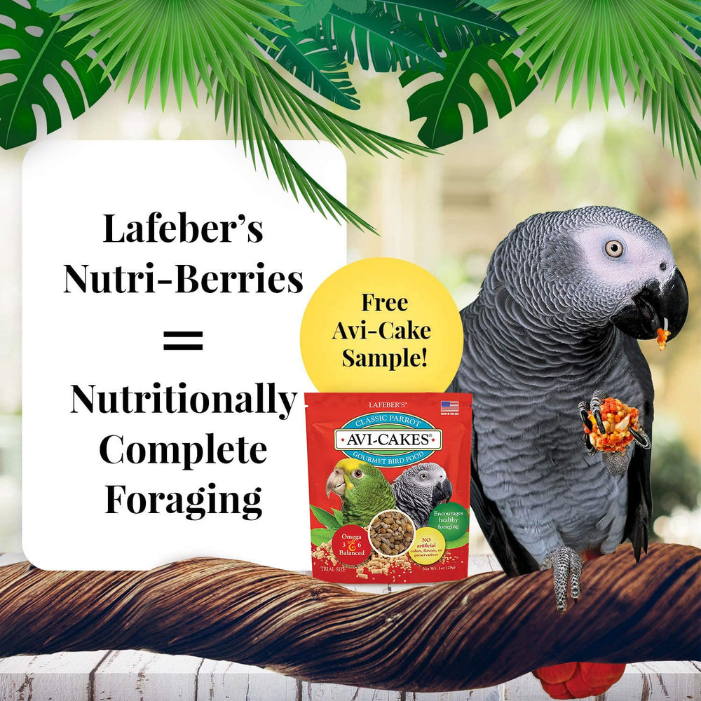 LAFEBER'S Nutri-Berries tropical flavor bag highlights fruity nutrition for small birds.