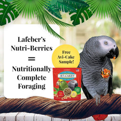 LAFEBER'S Nutri-Berries tropical flavor bag highlights fruity nutrition for small birds.