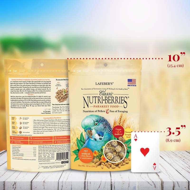 LAFEBER'S Nutri-Berries two-pack display emphasizes bulk feeding convenience