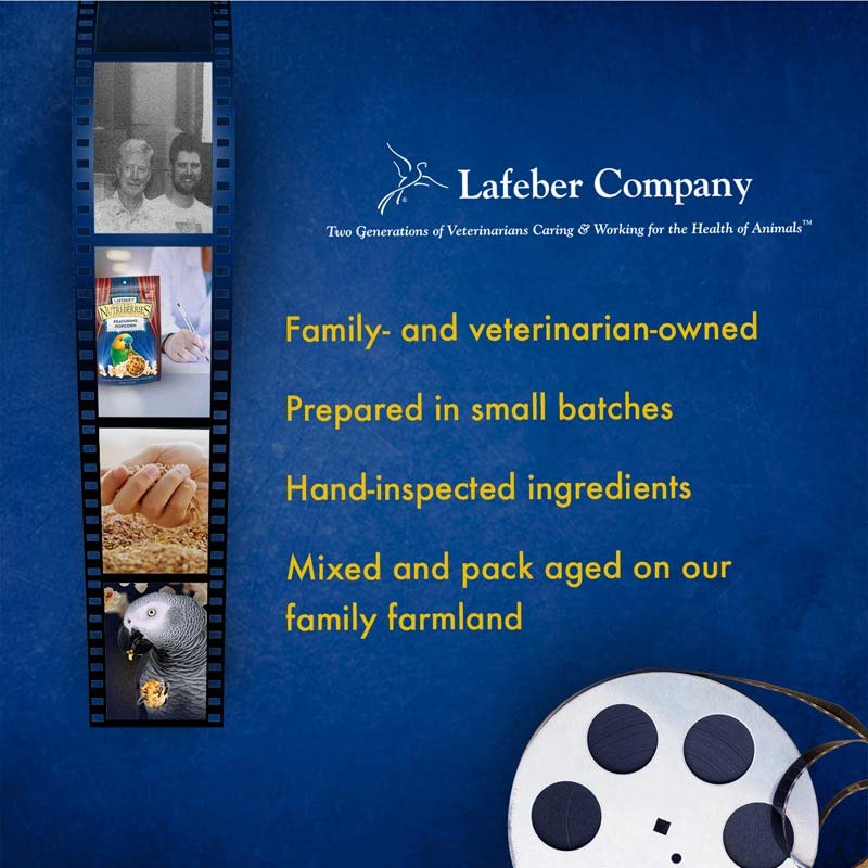 LAFEBER'S Popcorn Nutri-Berries serving idea in a dish for parrots.