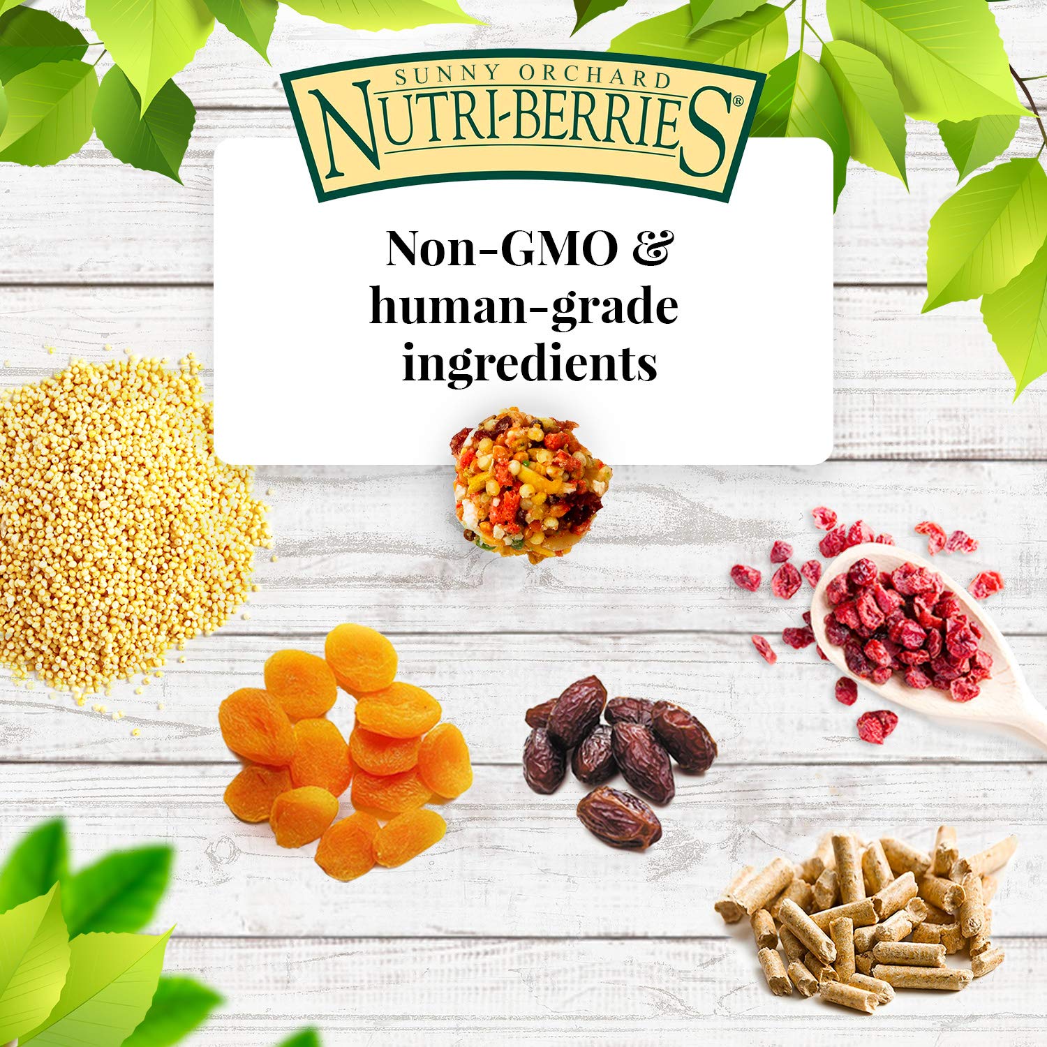 LAFEBER'S Sunny Orchard Nutri-Berries apricot-dates-cranberries image highlights real fruit pieces for natural flavor.