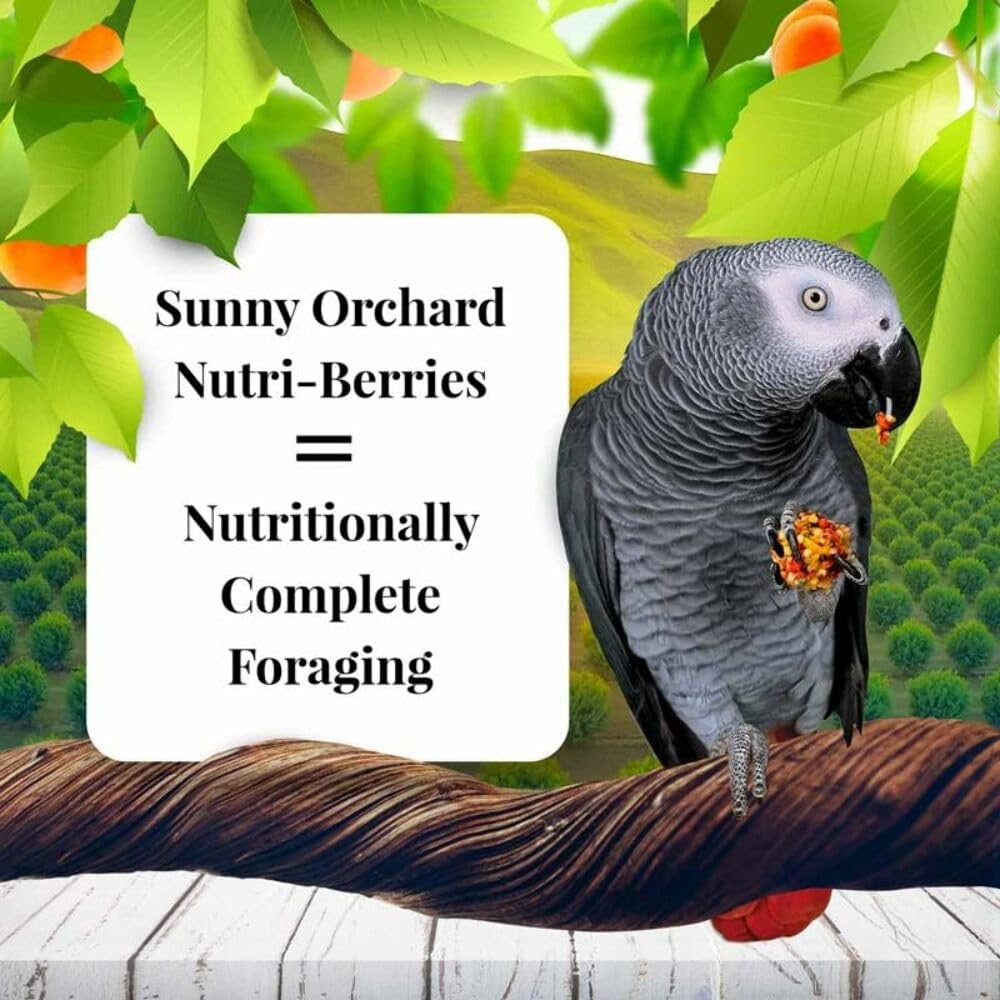 LAFEBER'S Sunny Orchard Nutri-Berries foraging-shape encourages beak exercise and mental enrichment.