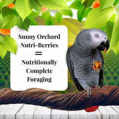 LAFEBER'S Sunny Orchard Nutri-Berries foraging-shape encourages beak exercise and mental enrichment.