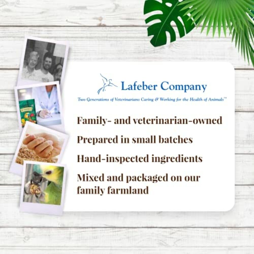 LAFEBER'S Tropical Fruit Nutri-Berries colorful pieces entice foraging joy