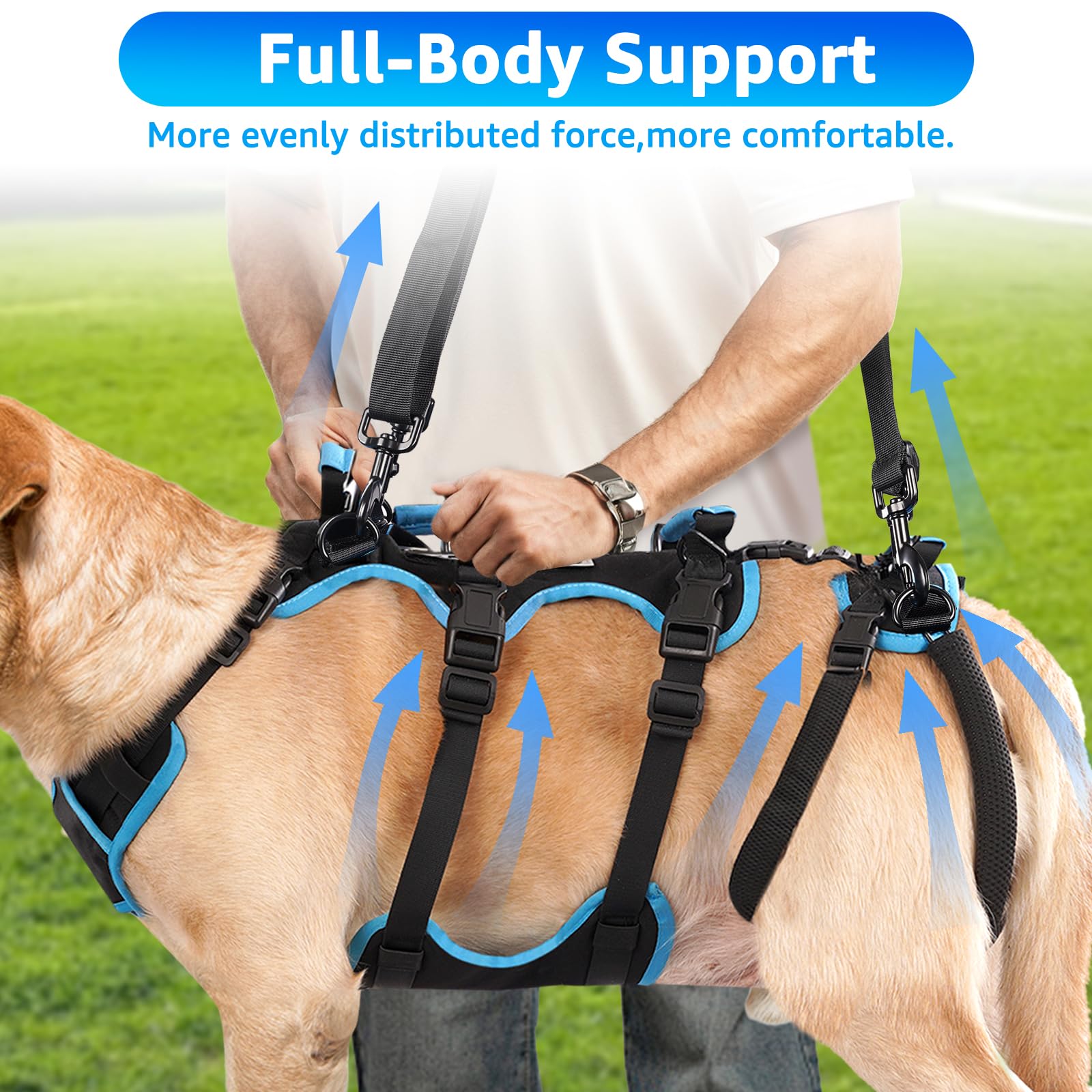 Lafoty dog lift harness easy-on-design highlights effortless wearing for quick assistance.