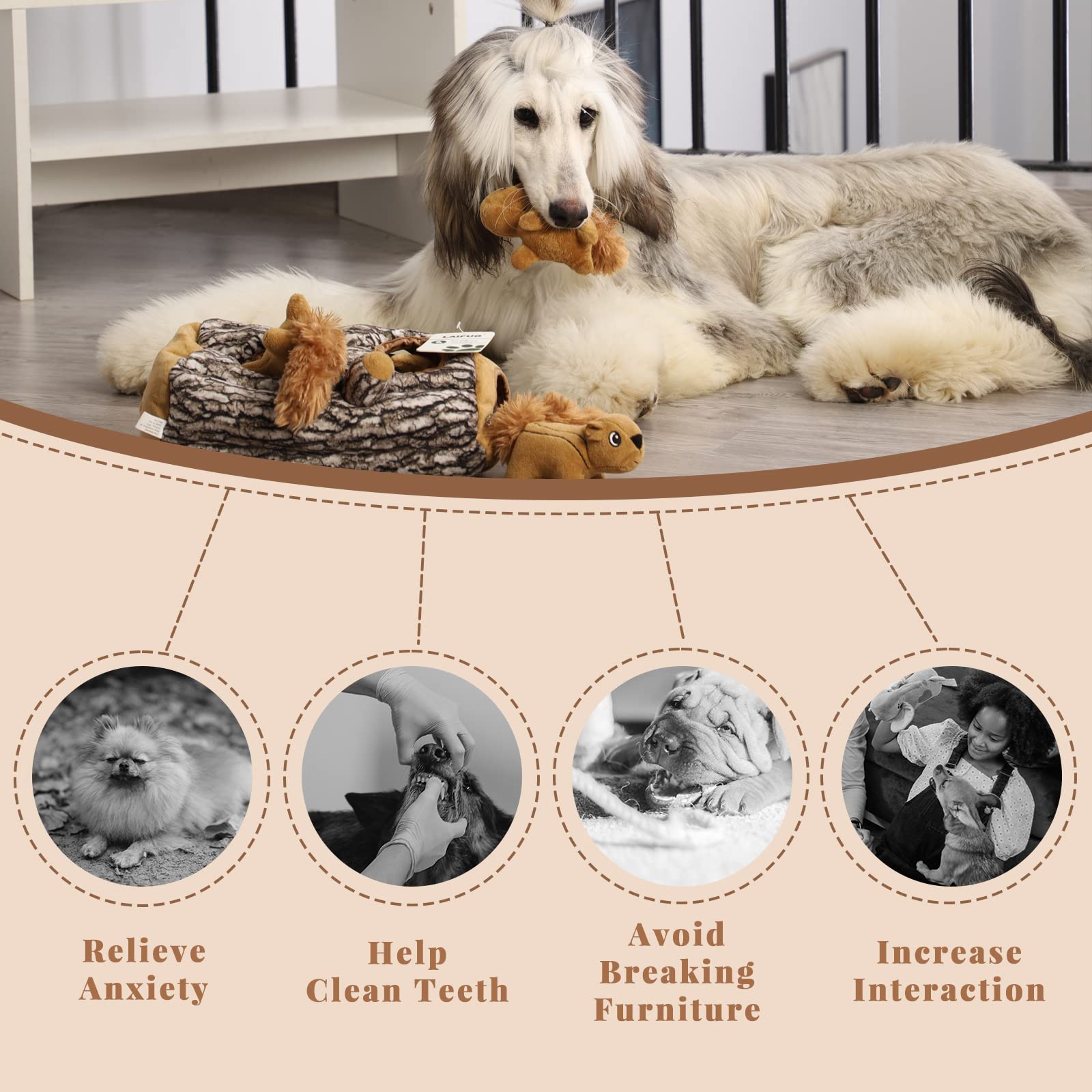 Laifug Hidden Squirrel Toy packaging makes a gift-ready option.