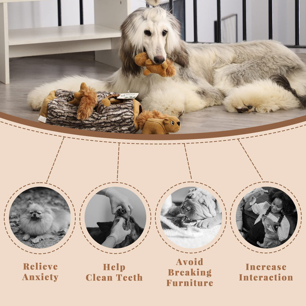 Laifug Hidden Squirrel Toy packaging makes a gift-ready option.