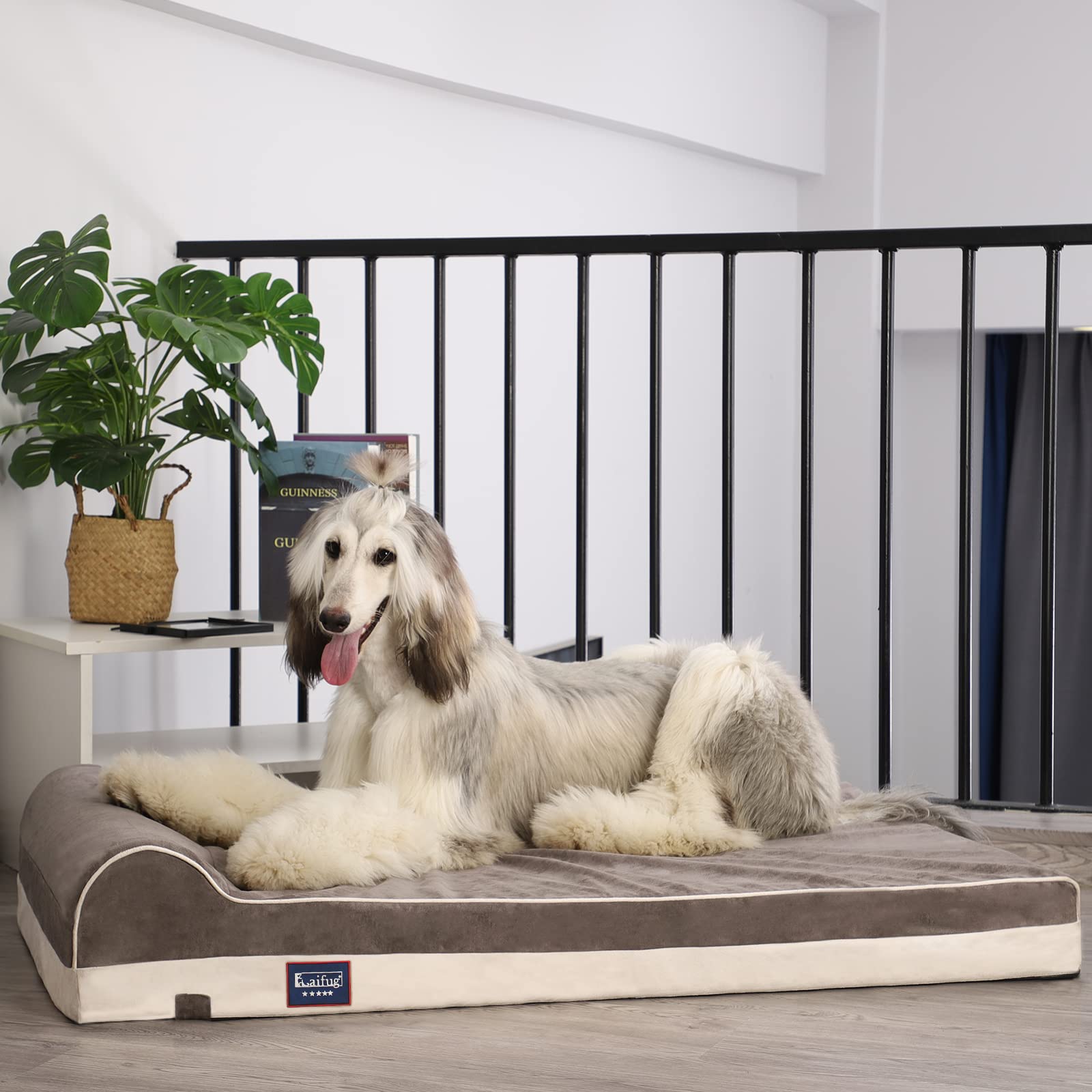 Laifug large 46x28x8 grey dog bed fits bigger breeds for spacious lounging.