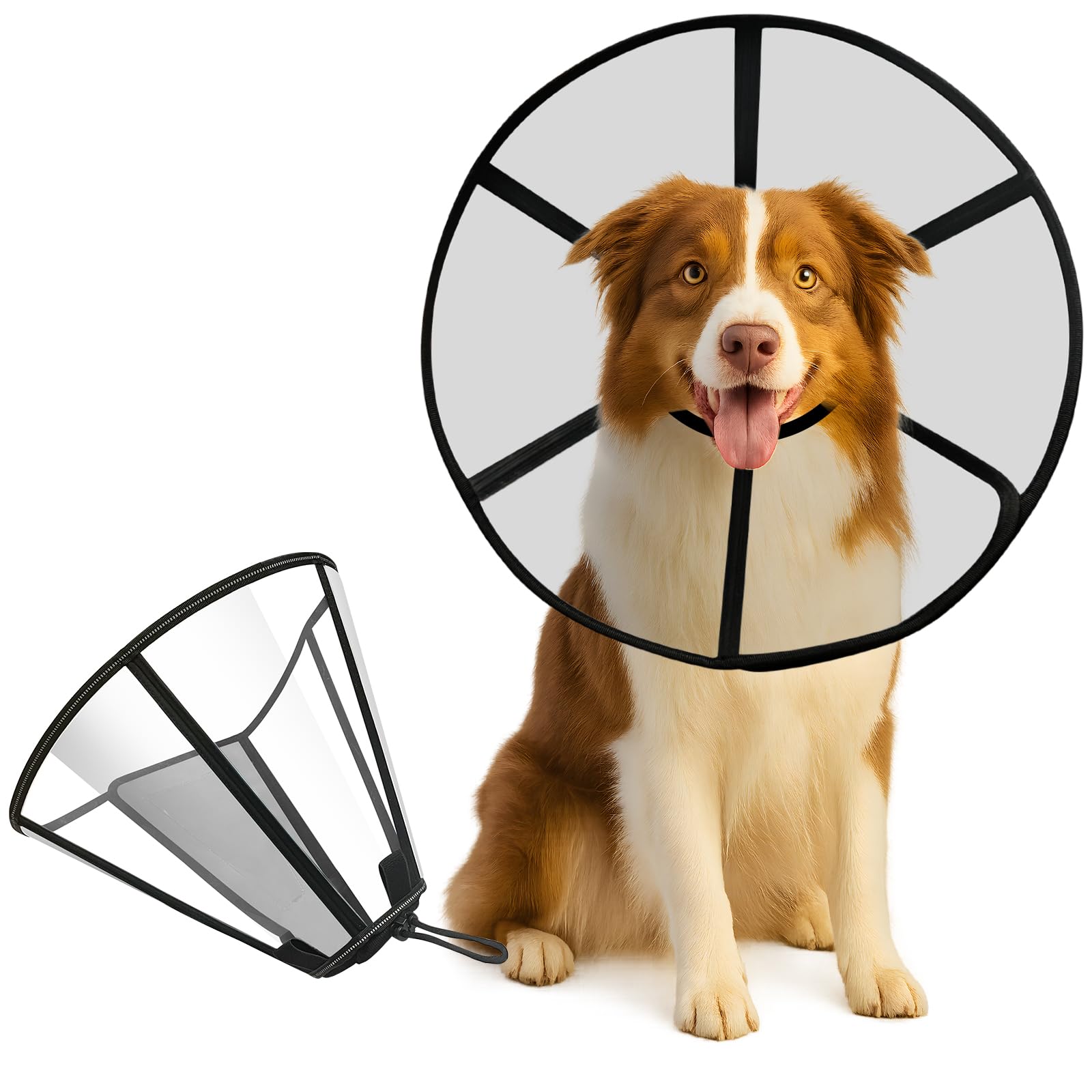 Lainergie soft dog cone collar outer view protects wounds during recovery.