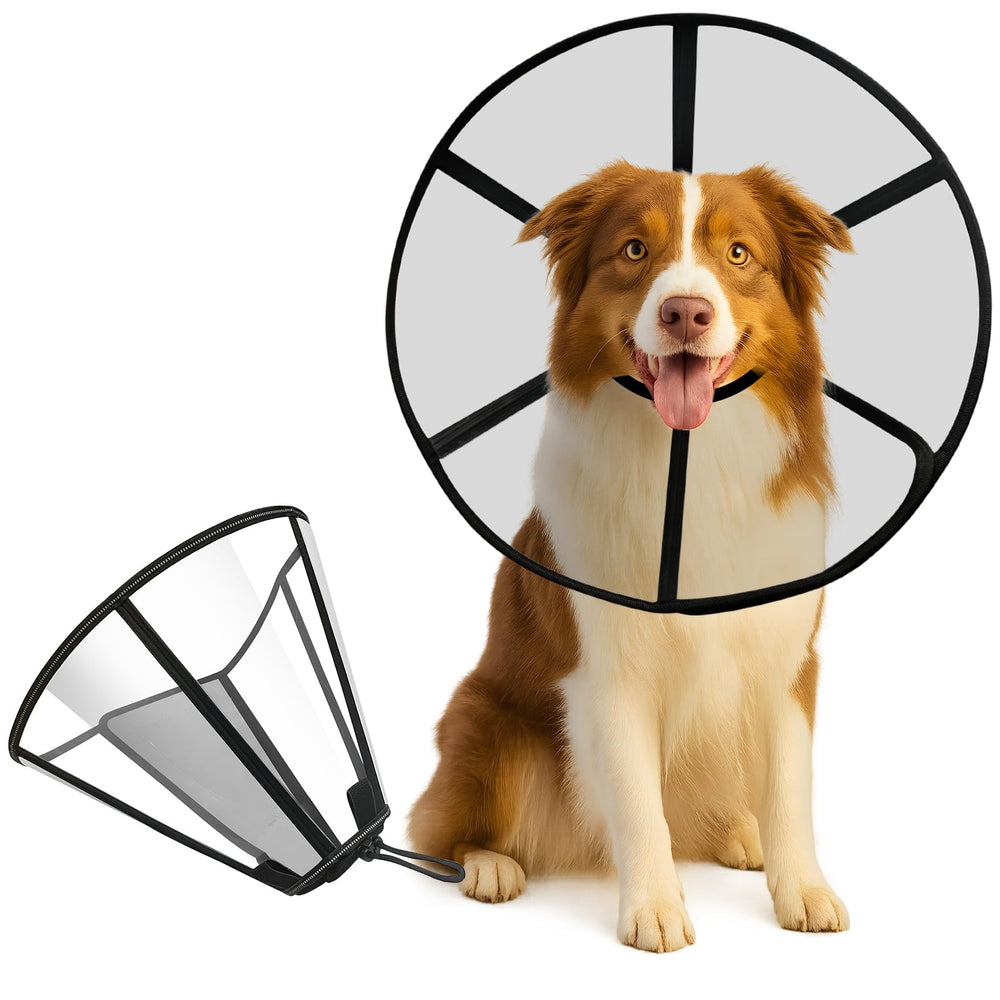 Lainergie soft dog cone collar outer view protects wounds during recovery.