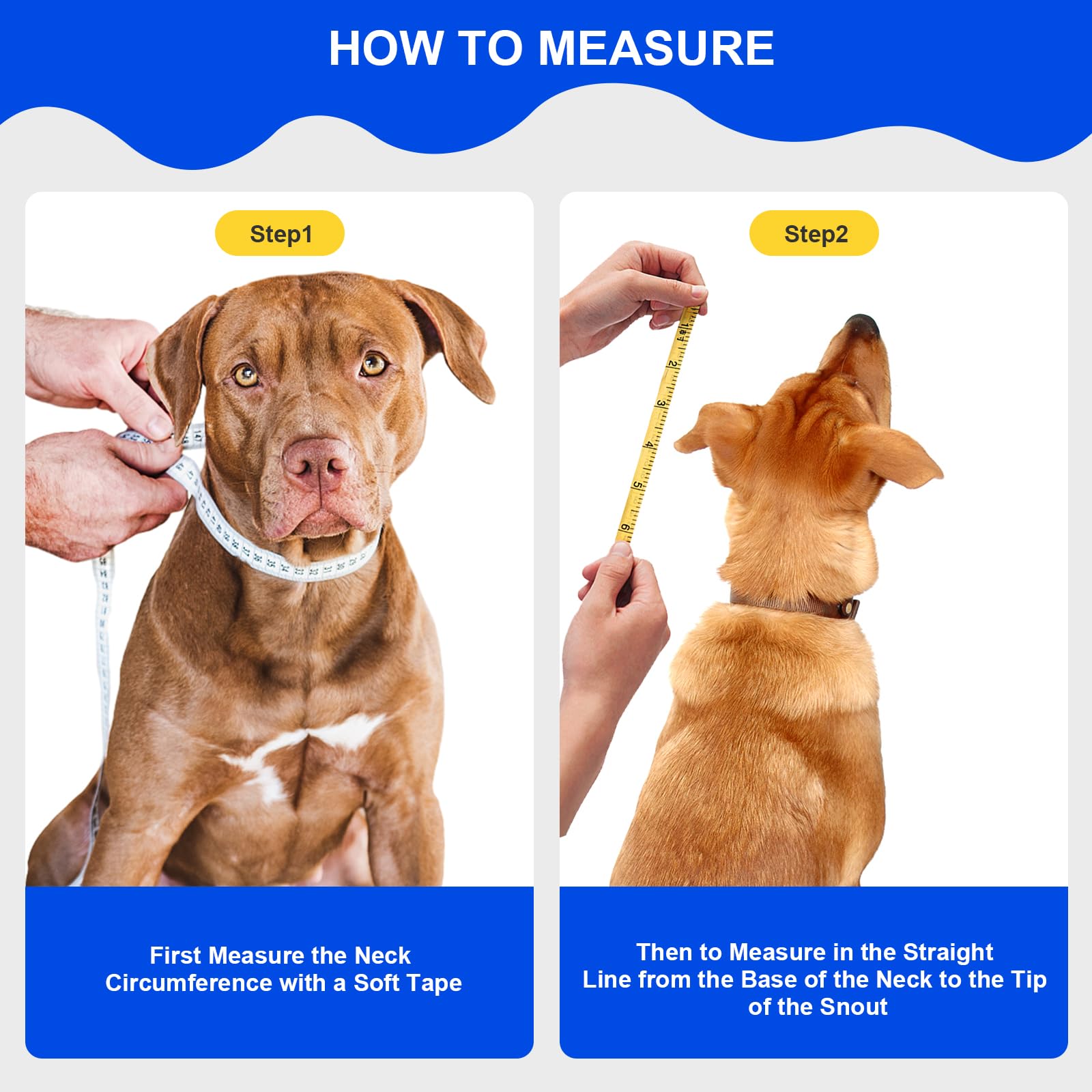 Lainergie soft dog cone collar transparent material for easy visibility.