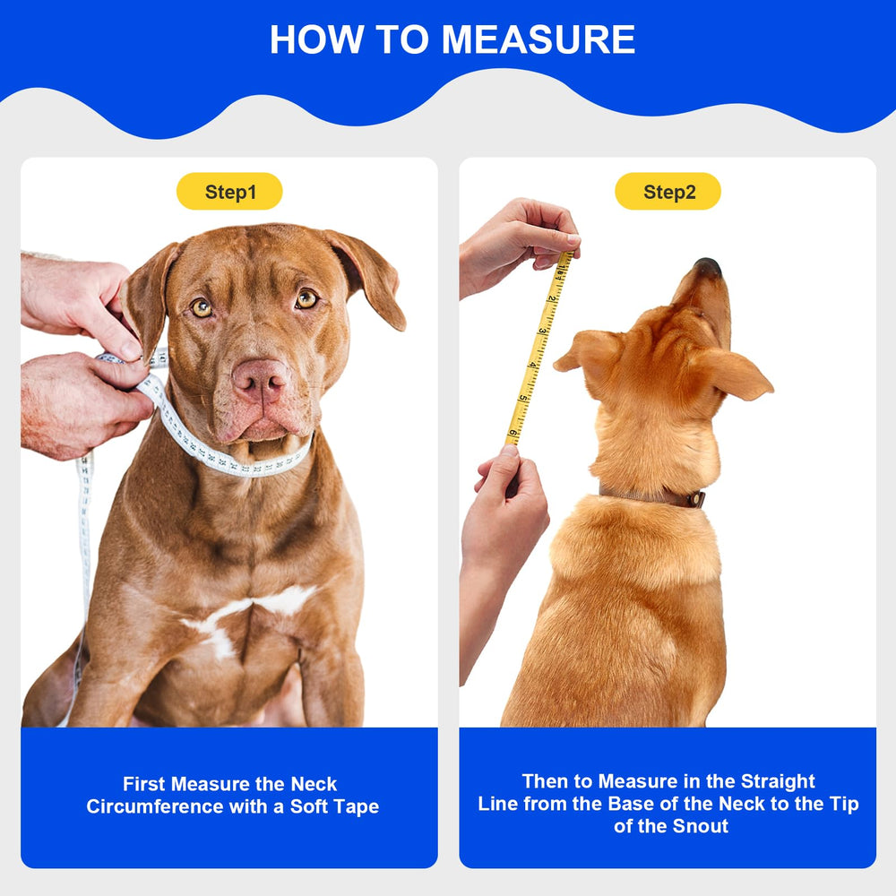 Lainergie soft dog cone collar transparent material for easy visibility.