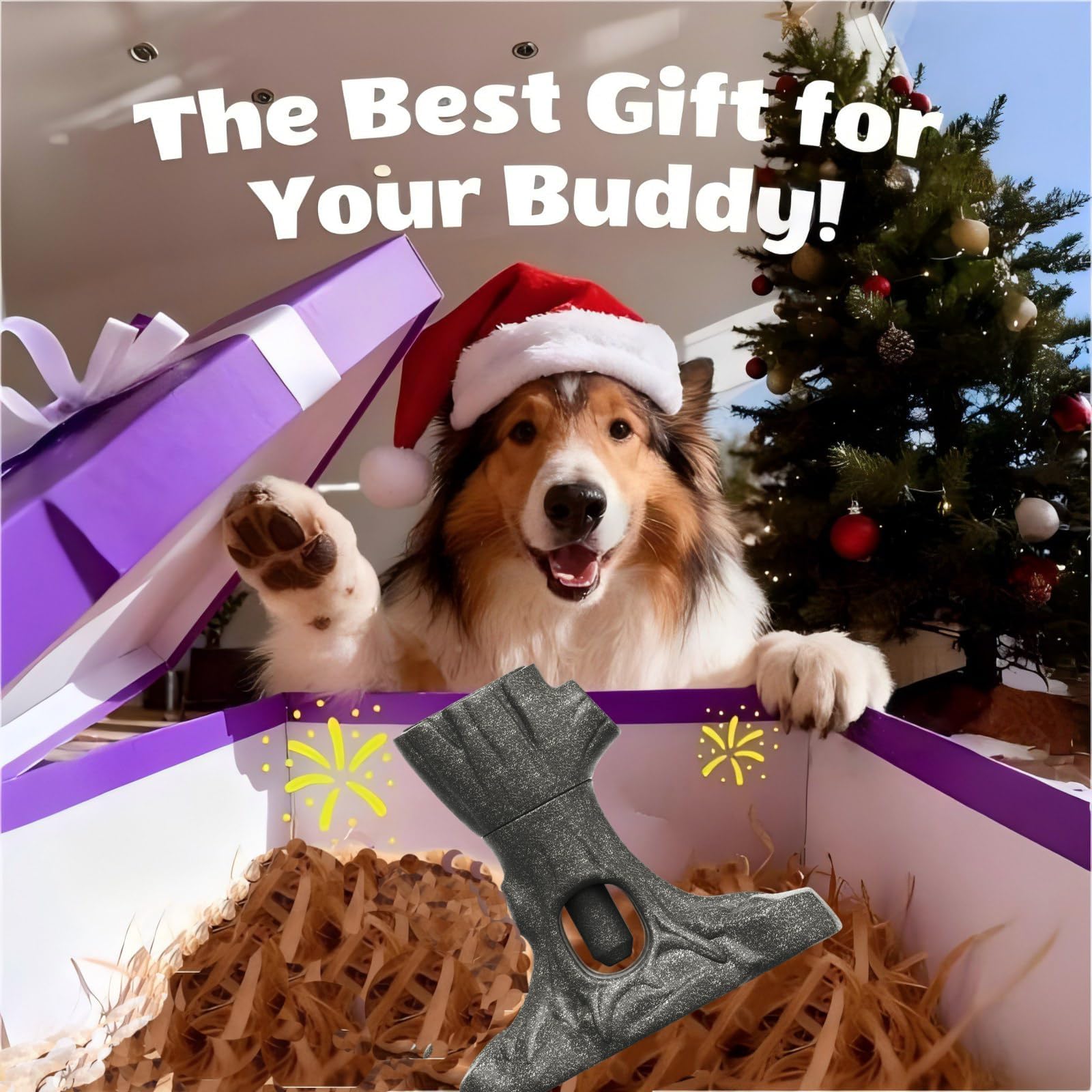LaiQiuJunA indoor-ready design supports crate training and enrichment.