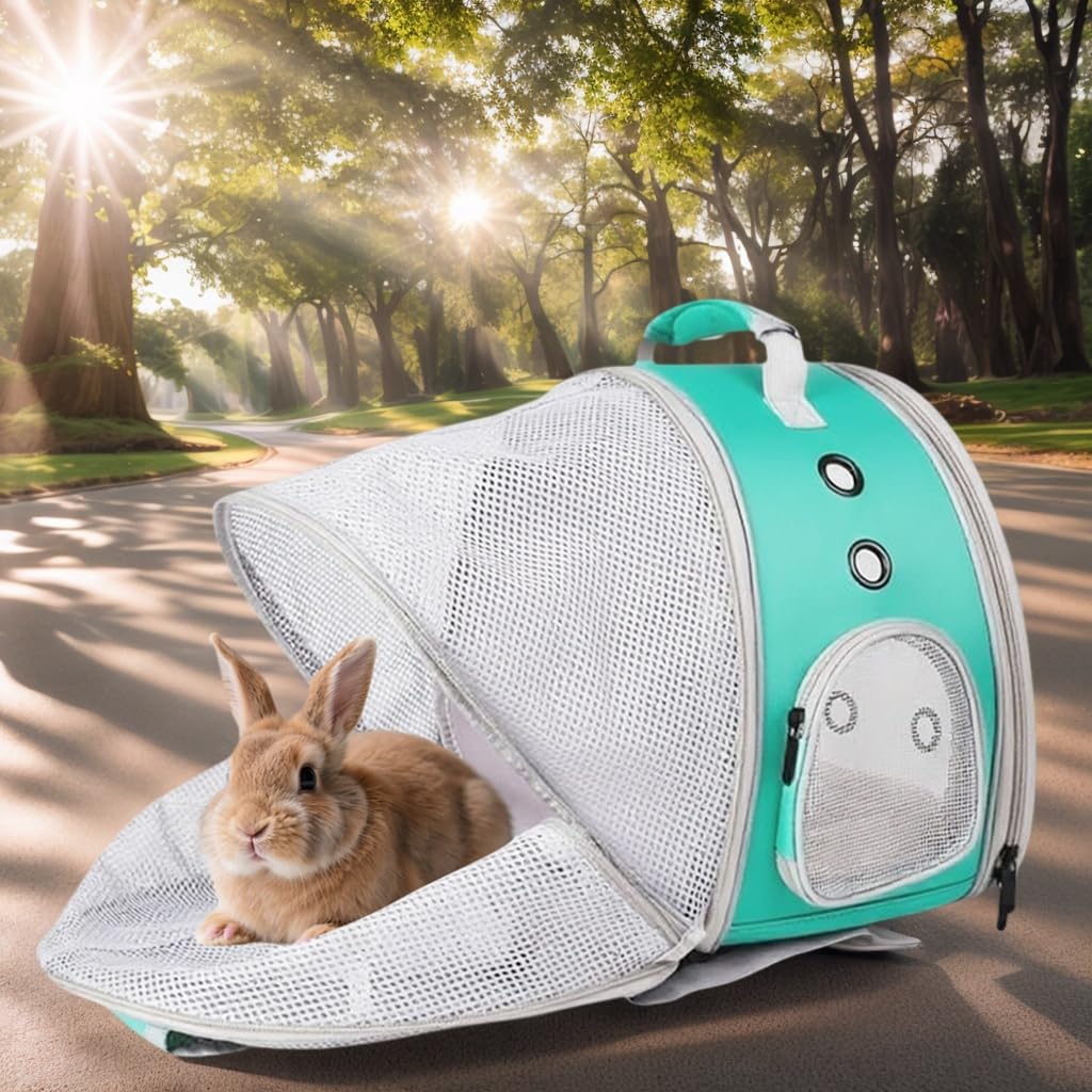 LAIRIES accessories bundle includes two removable washable mats