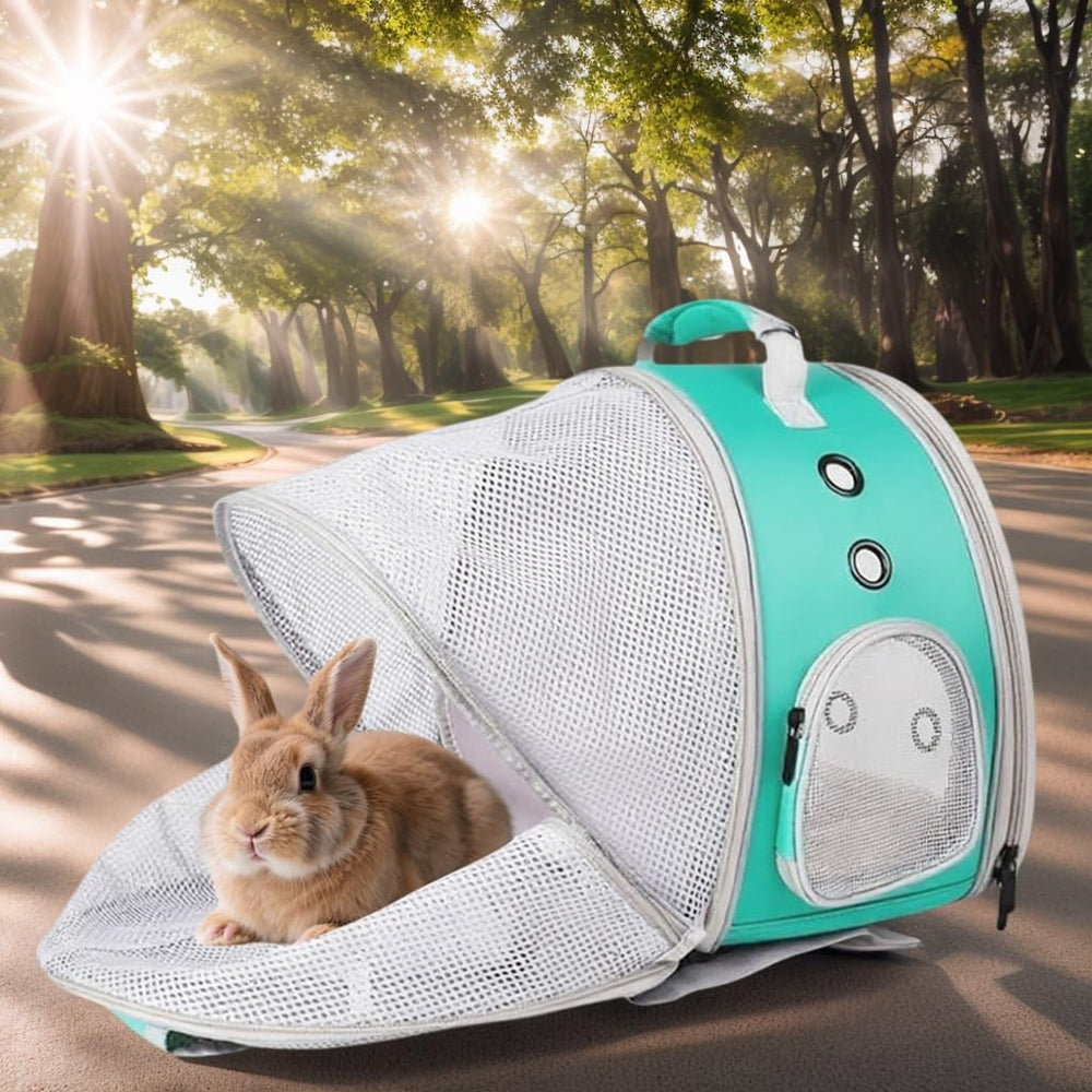 LAIRIES accessories bundle includes two removable washable mats