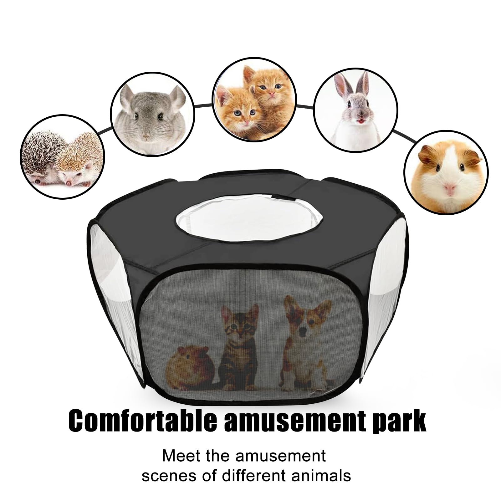LAIRIES portable setup uses lightweight materials for easy indoor or outdoor use.