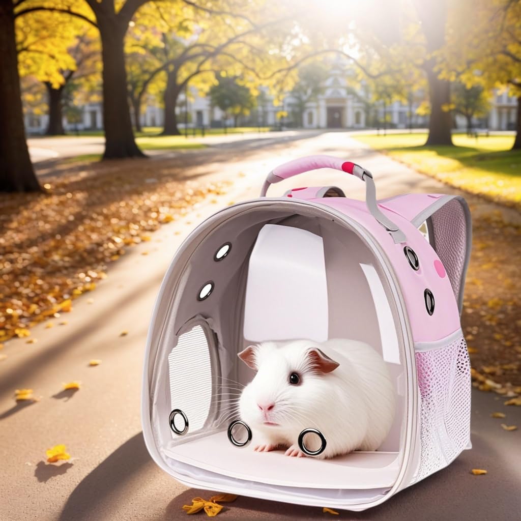 LAIRIES lightweight carrier aids daily use, hikes, and vet visits.