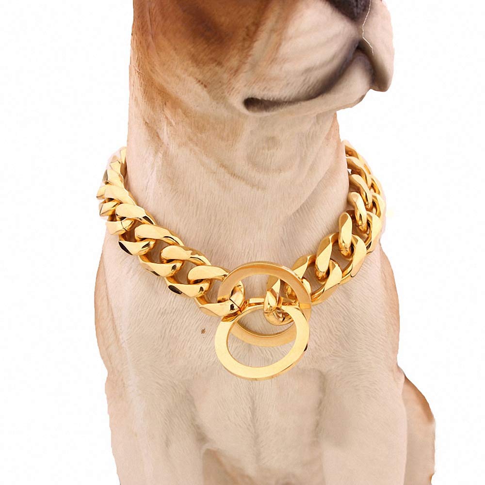 Lakke large dog wearing slip collar during a controlled walk
