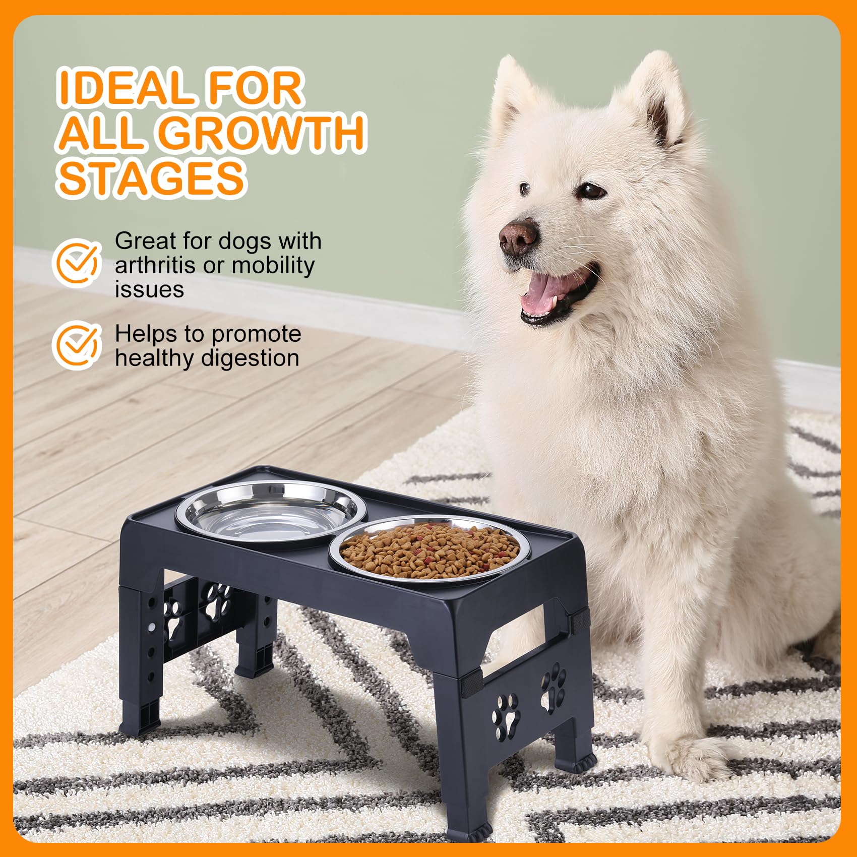 LALOBLUE kitchen-dining setup keeps meals tidy and pet-friendly at home