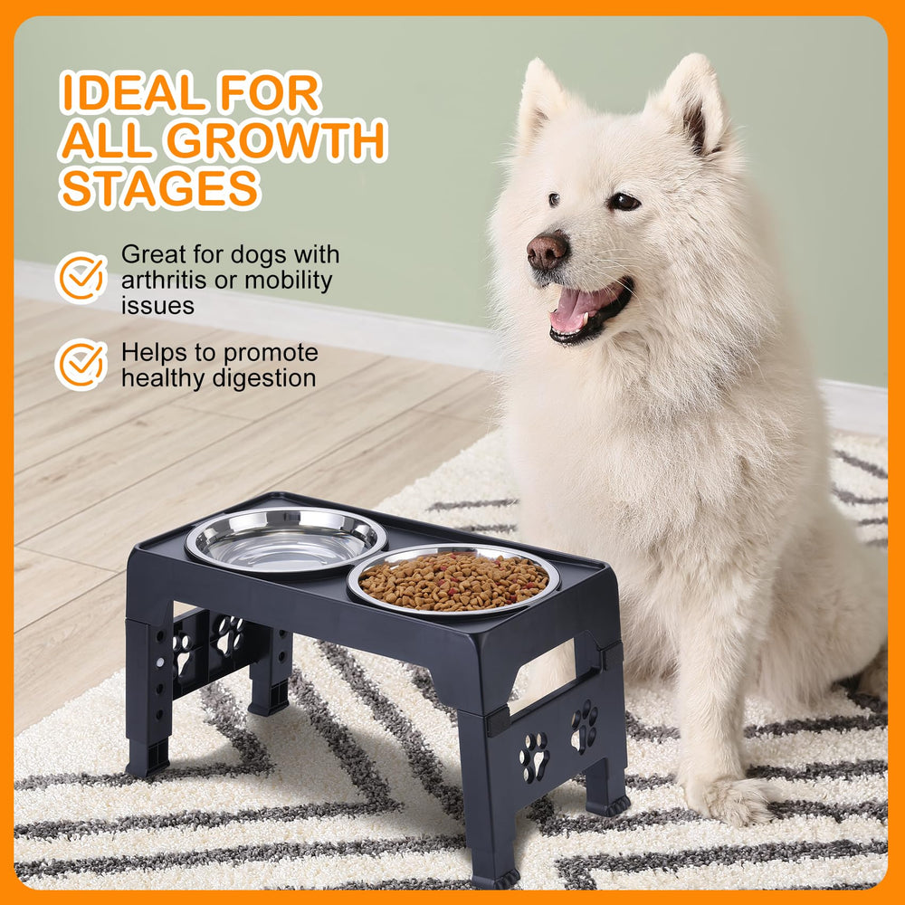 LALOBLUE kitchen-dining setup keeps meals tidy and pet-friendly at home
