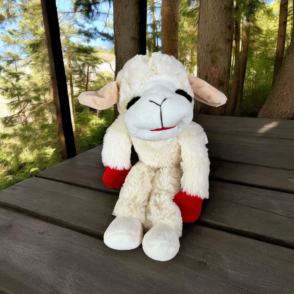 Lamb Chop dog toy 14 dog-joy-play-session captures happy moments.