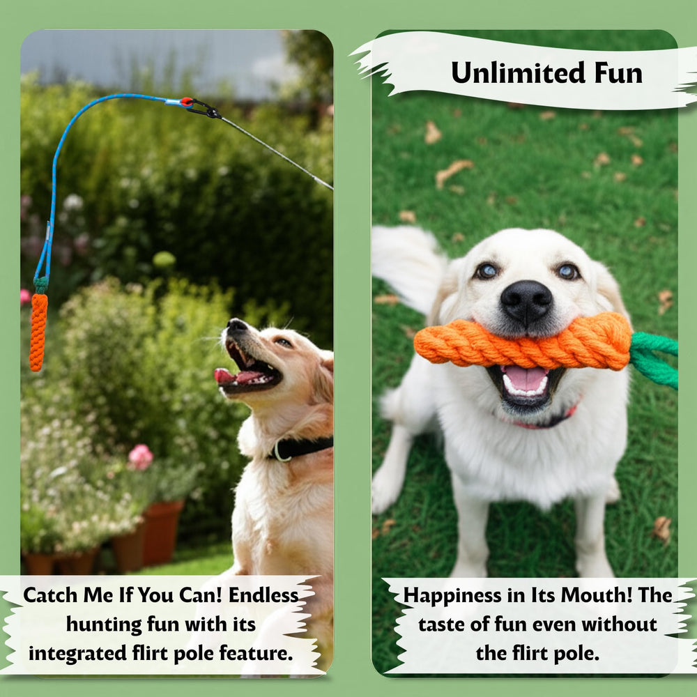 Lamfer dog-chew-ball-with-treat-holding shows treat-attracting mouth engagement.